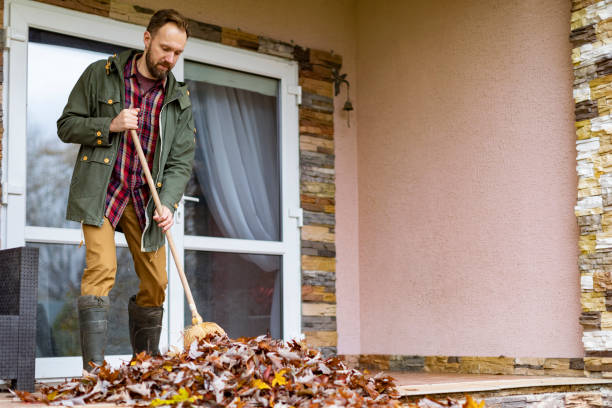 Best Electronics Removal Services  in Sullivan City, TX