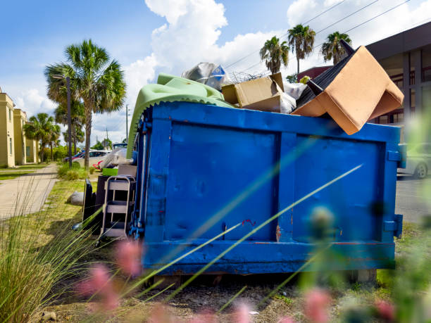 Best Estate Cleanout Services  in Sullivan City, TX